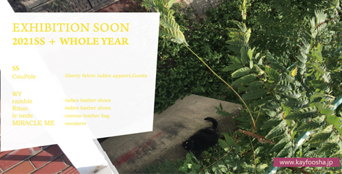 2020年11月展示会DM